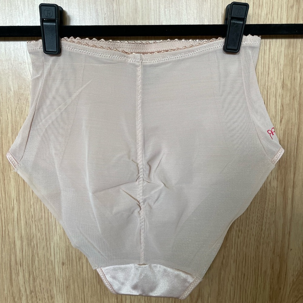 Ruby Ribbon Sheer Briefs - Picture 2 of 5